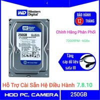 Ổ Cứng HDD 250GB WB Blue SATA 7200rpm (New SK 100%) BH 01 năm - Hỗ Trờ Cài Sẵn HĐH