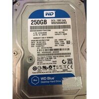 Ổ cứng HDD 250GB WD Blue