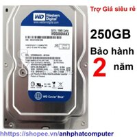 Ổ cứng hdd 250GB WD Xanh hổ trợ cài sẵn win bảo hành 2 năm
