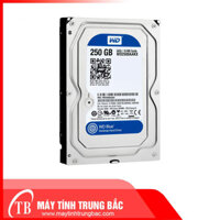 Ổ cứng HDD 250GB WD