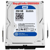 Ổ cứng HDD 250GB Western Purple (màu tím) cho camera bảo hành 12 tháng