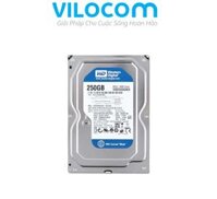 Ổ cứng HDD 250GB Western (Blue)