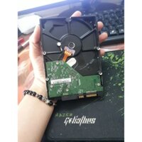 Ổ CỨNG HDD 250GB