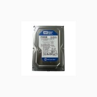 Ổ cứng HDD 250GB Western