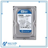 ổ cứng HDD 3,5 250GB