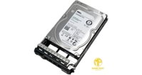 Ổ Cứng HDD 3.5" Dell 2TB Hard Drive SATA 6Gbps 7.2K 512n 3.5in Hot-Plug, CUS Kit| 42DEP400-BLLG