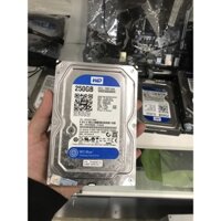 Ổ cứng HDD 3.5” Western Digital 250GB - Chính Hãng – Bảo hành 1 tháng 1 đổi 1 –  - HDD WD xanh