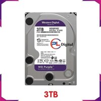 Ổ Cứng HDD 3TB WD Tím PURPLE - Chuyên Dùng Cho Đầu Ghi Camera, Máy Tính PC