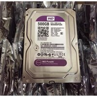 Ổ cứng HDD 500GB