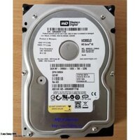 ổ cứng hdd 80 gb