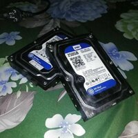 Ổ cứng HDD desktop 250 WD free ship (40k)