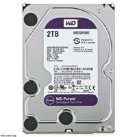 Ổ CỨNG HDD PC WD 2TB TÍM CHÍNH HÃNG MỚI