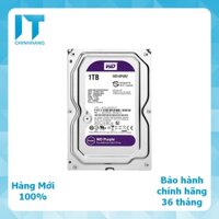 Ổ Cứng HDD WD 1TB 2TB 3TB 4TB Tím - WD10PURZ -  WD20PURZ - WD30PURZ - WD40PURZ - Hàng Chính Hãng