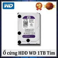 Ổ CỨNG HDD WD 1TB TÍM