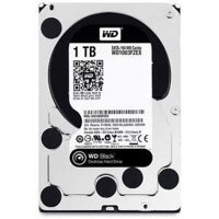 Ổ Cứng HDD WD Black 1TB/64MB/7200rpm/3.5 – WD1003FZEX – Hàng chính hãng