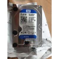 Ổ cứng HDD WD Blue 2TB 3.5 inch SATA III