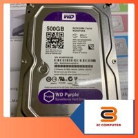 Ổ cứng HDD WD Purple 500GB - Bảo Hành 24 Tháng ( WD BLUE VÀ WD TÍM)