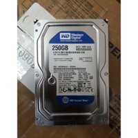 Ổ CỨNG HDD WESTERN 250GB 3.5'' SATA