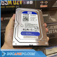 Ổ cứng HDD Western 250Gb