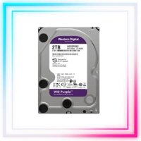 Ổ Cứng HDD WESTERN 2TB (WD20PURZ) - TÍM