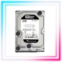 Ổ Cứng HDD WESTERN 2TB (WD2003FZEX) - ĐEN