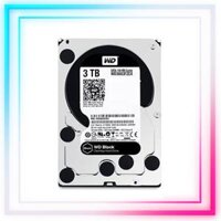 Ổ Cứng HDD WESTERN 3TB (WD3003FZEX) - ĐEN