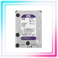 Ổ Cứng HDD WESTERN 4TB (WD40PURZ) - TÍM