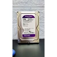 Ổ Cứng HDD Western Digital 1TB ổ cứng dùng cho camera giám sát likenew 95% sk 100% bh 24 tháng