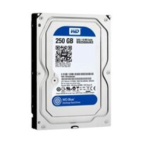 Ổ cứng HDD Western Digital Blue 250Gb - Sata -7200v- 3.5 inch | Ổ cứng cũ