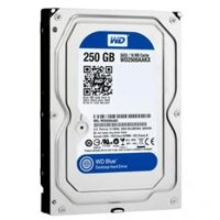 Ổ cứng HDD Western Digital WD2500AAKX 250GB (Blue)