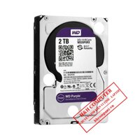 Ổ cứng HDD Western Digital Purple 2TB 3,5″