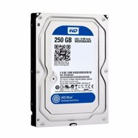 Ổ cứng HDD Western WD250GB