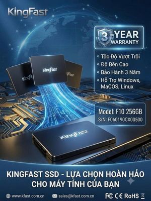 Ổ cứng Kingfast F10 256GB