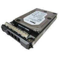 Ổ cứng máy chủ 500GB Dell T320 T420 T430 R320 R420 R720 R730 (Bạc)