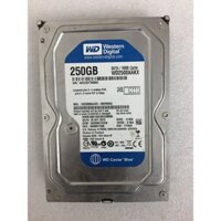 Ổ cứng PC 250Gb WD