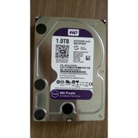 Ổ CỨNG PC HDD 1T WESTERN TÍM, BẢO HÀNH 2 NĂM