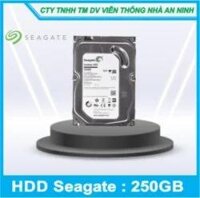 Ổ Cứng Seagate 250GB Chuyên Dụng Cho Camera Lưu Trữ Dữ Liệu