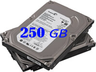 Ổ cứng Seagate 250GB
