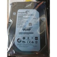 Ổ cứng Seagate 6TB ST6000NM0014 4Kn SAS 12Gb/s FW K005 3.5 inch 7200 RPM 128MB, Exos Capacity v4