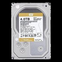 Ổ Cứng Server Western Digital Gold 4TB WD4002FYYZ