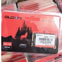 Ổ cứng SSD 256Gb M2 Gloway