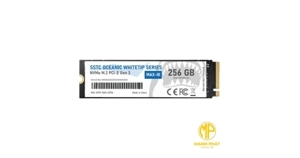 Ổ cứng SSD 256GB SSTC Oceanic Whitetip NVMe M2 PCI-e Gen 3 (SSTC-PHI-E13256)