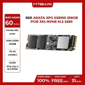 Ổ cứng SSD Adata SX8100 256GB M.2 PCIe