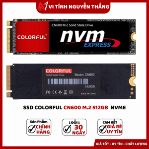 Ổ cứng SSD Colorful CN600 256GB M.2 NVMe 2280 PCIe
