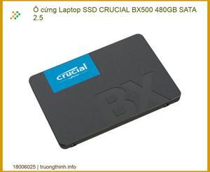 Ổ cứng SSD Crucial BX500 480GB CT480BX500SSD1