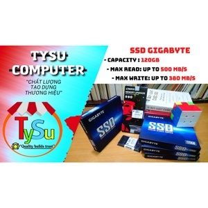 Ổ cứng SSD Gigabyte 120GB GP-GSTFS31120GNTD