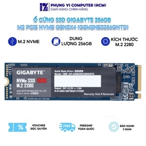 Ổ cứng SSD GP-GSM2NE3256GNTD