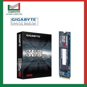 Ổ cứng SSD GP-GSM2NE3256GNTD