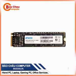 Ổ cứng SSD HP Biwin SP423 256GB