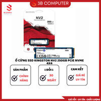 Ổ CỨNG SSD KINGSTON NV2 1TB 500G 250G NVME M.2 2280 PCIE GEN 4X4